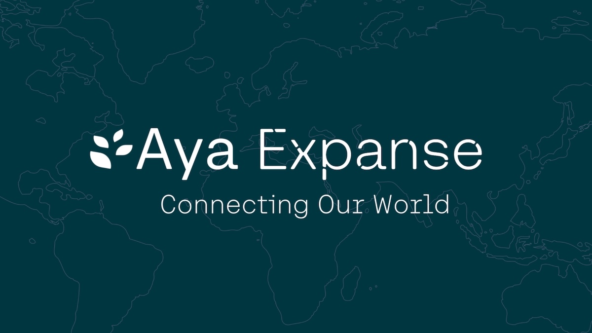 A Deepdive into Aya Expanse: Advancing the Frontier of Multilinguality