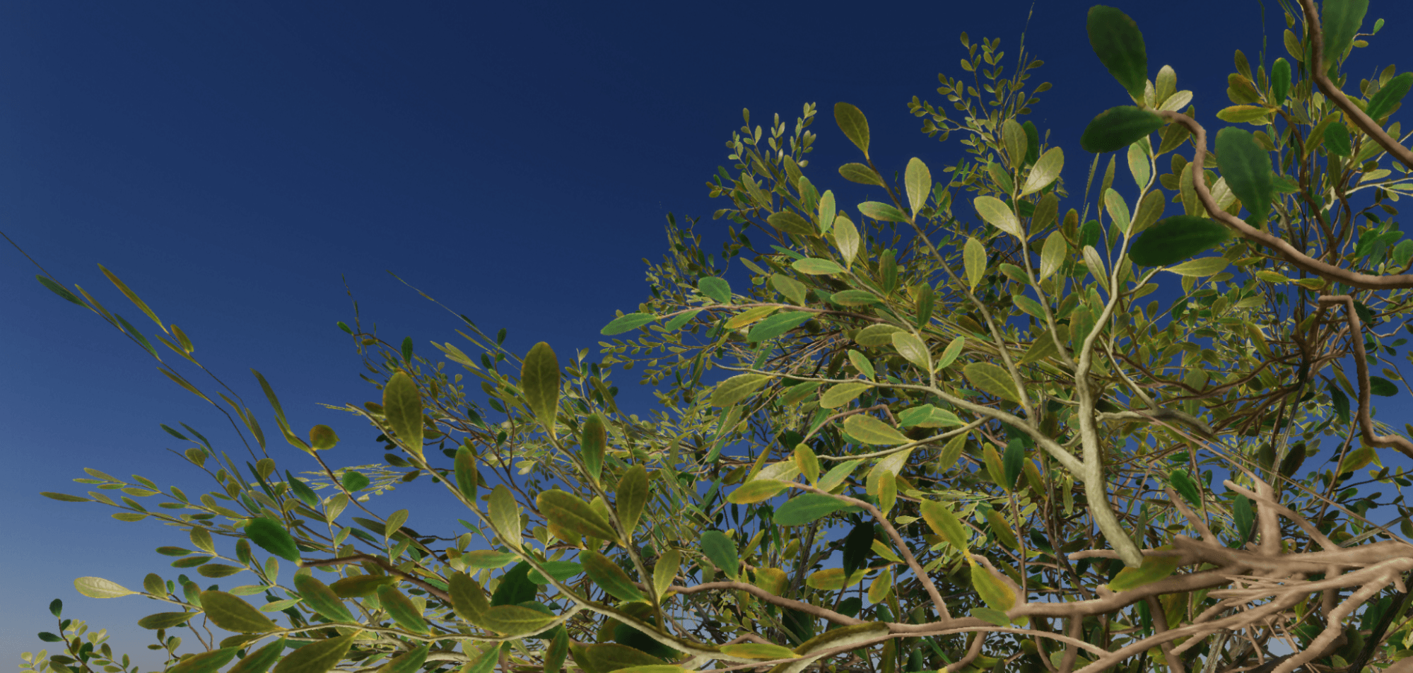 The top of some trees and a blue sky made with Unity