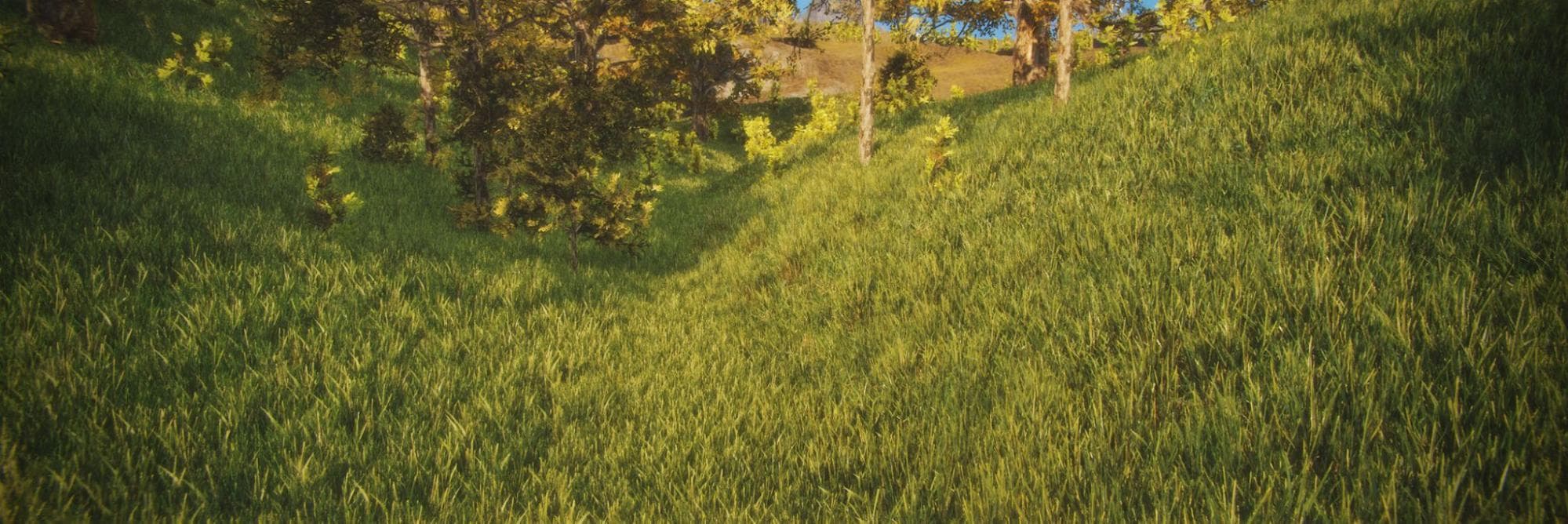 Grassy field made with Unity