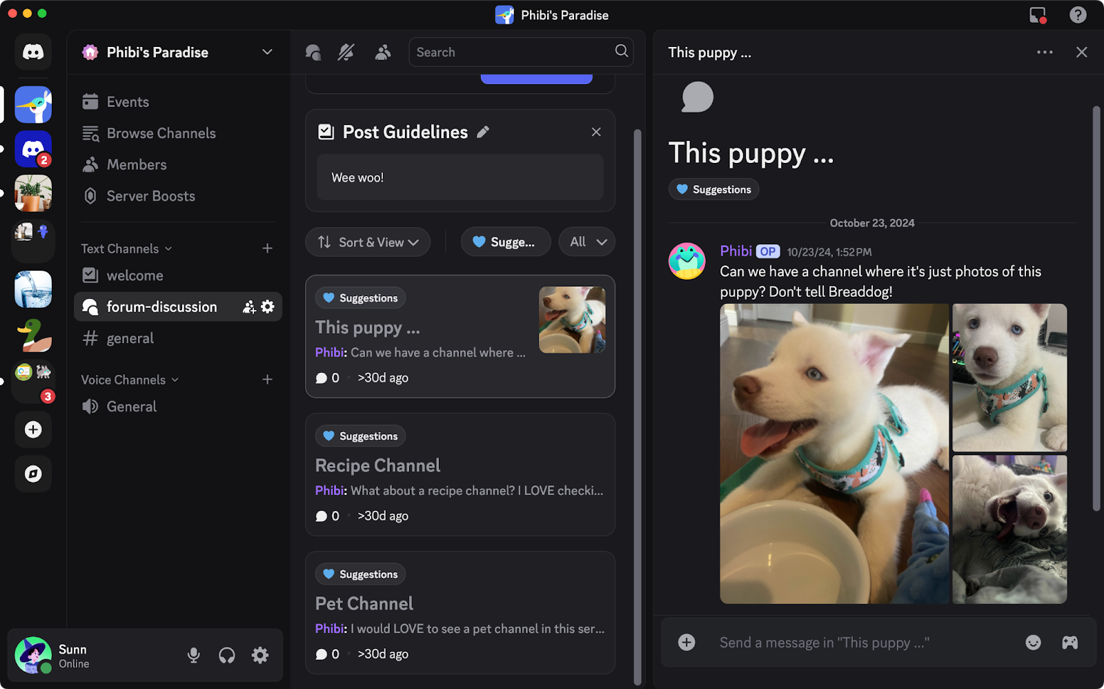 A Forum channel on Discord.
