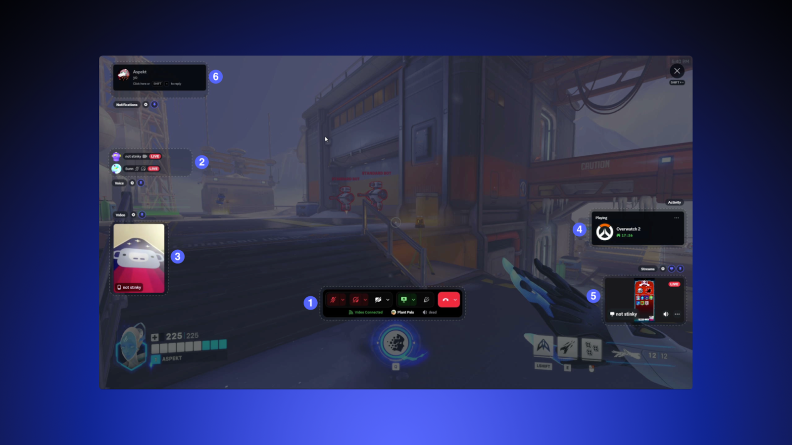 The Discord overlay.