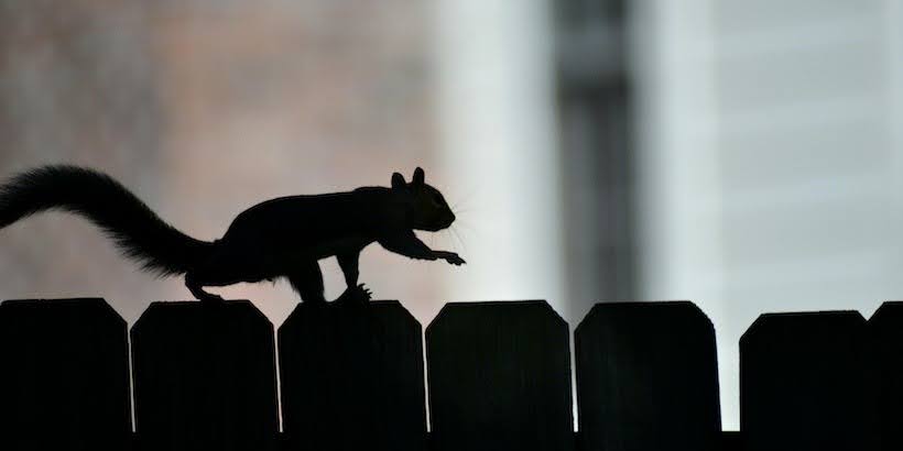 Enhancing Flink deployment with shadow testing