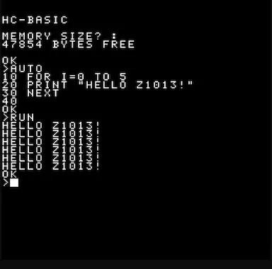 z1013_basic.webp