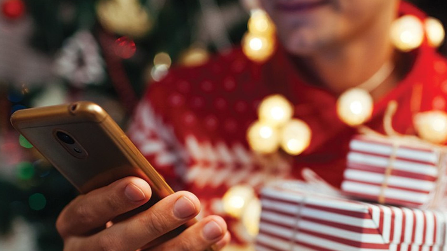 Advertiser's Playbook to Win the 2024 Holiday Season