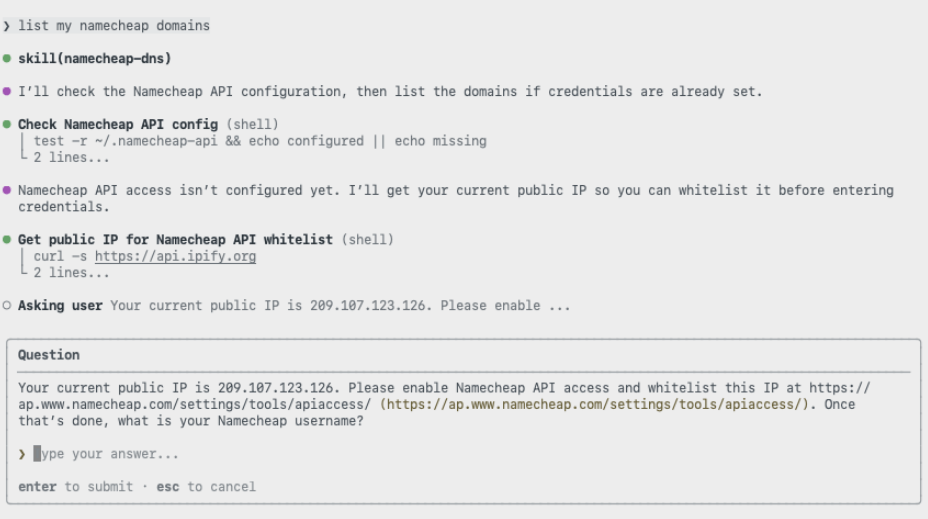 Screenshot showing Copilot CLI prompt 'list my namecheap domains.'