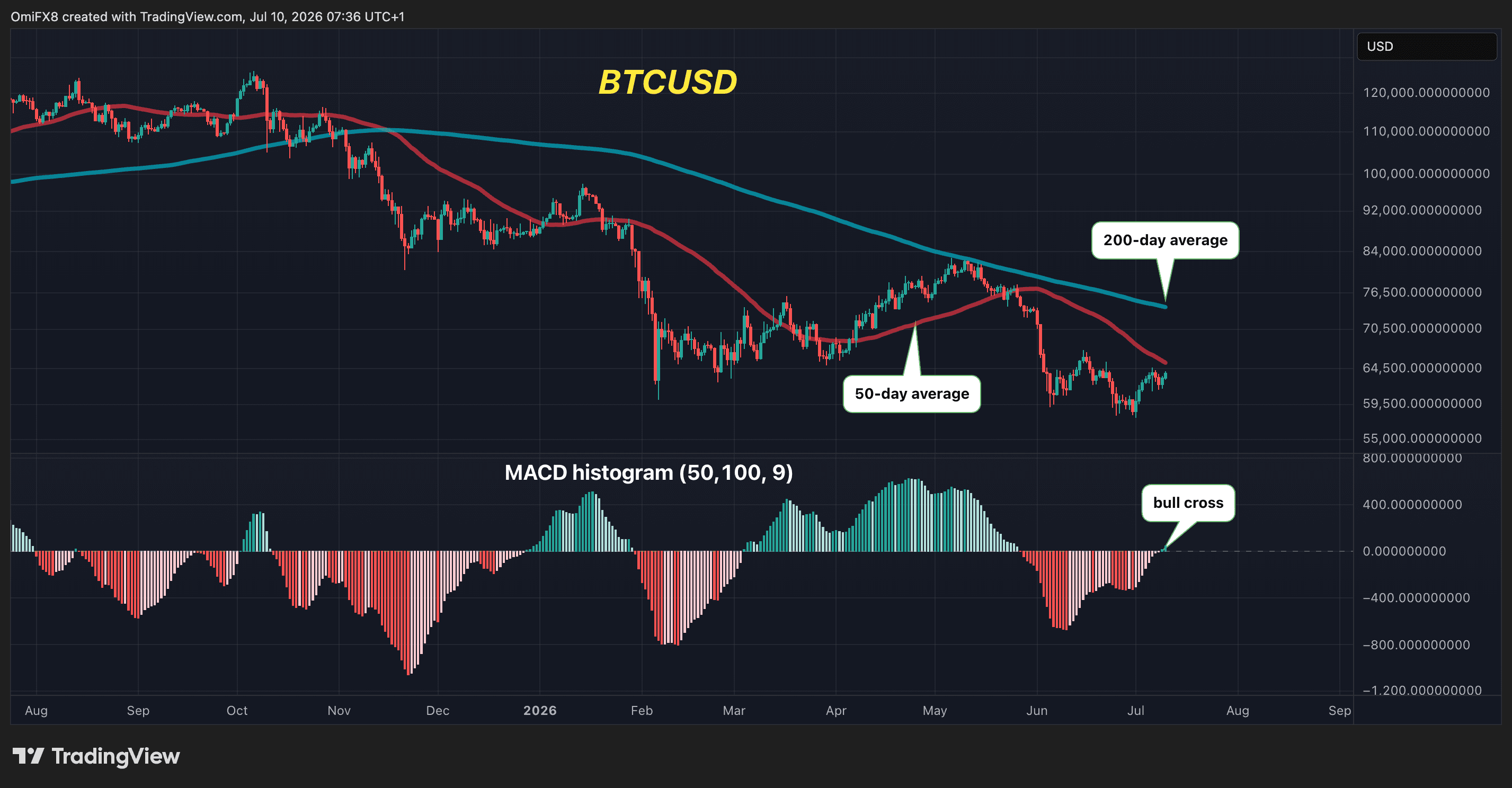 BTC's daily price swings in candlestick format with the MACD histogram. (TradingView)