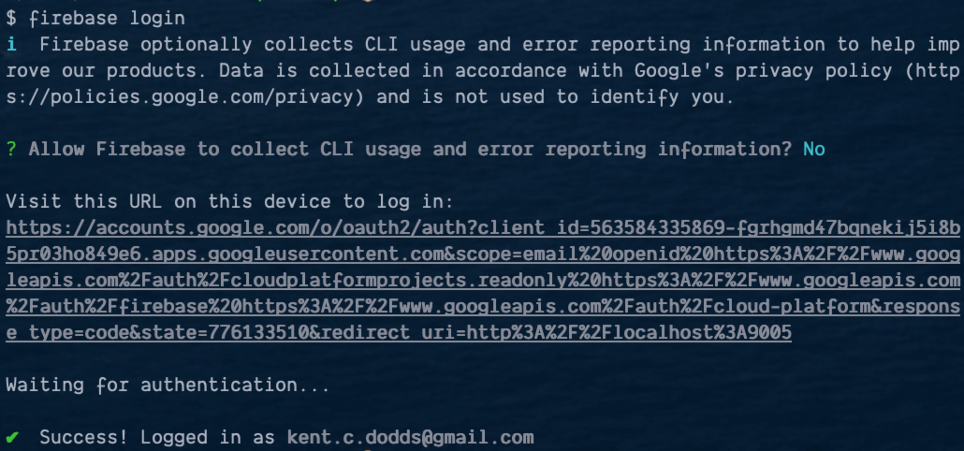 Terminal output from the firebase login command