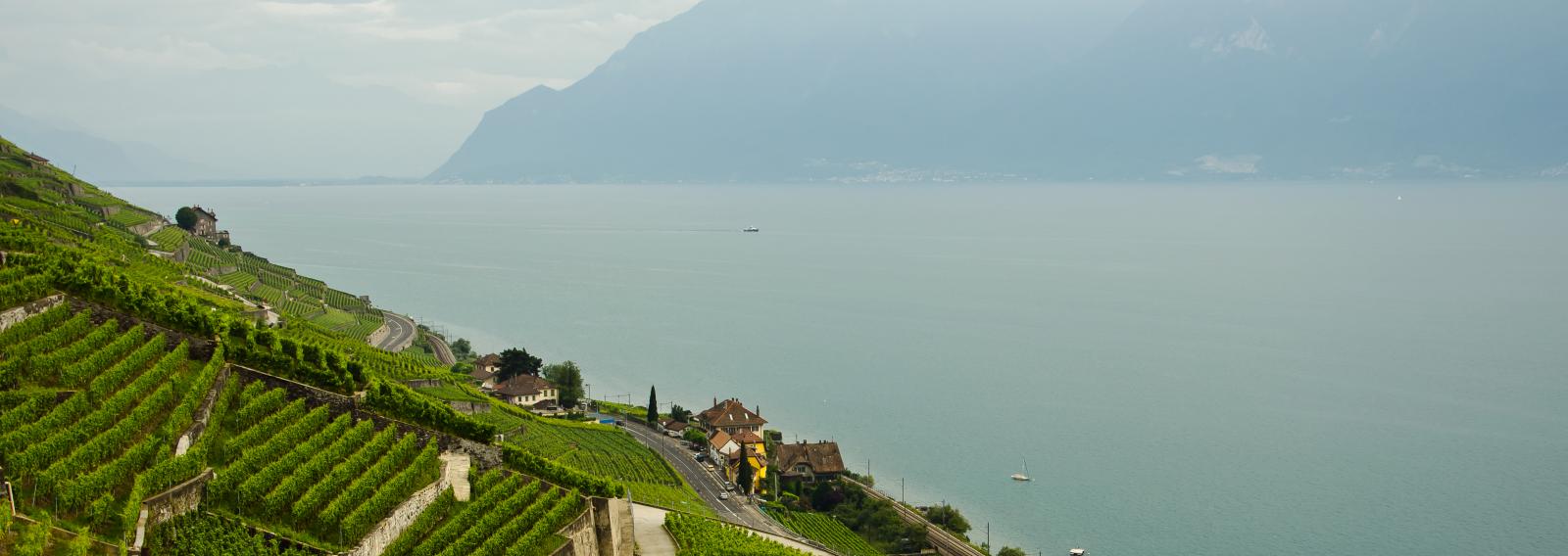 lausanne.jpg