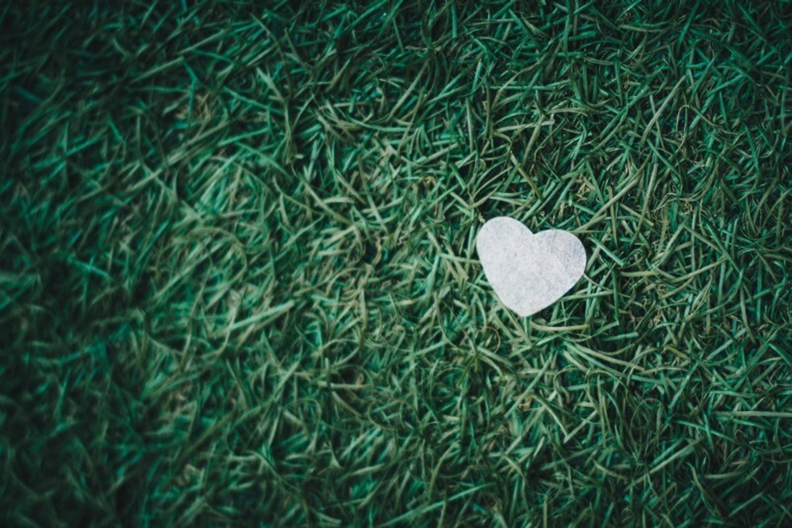a heart on grass