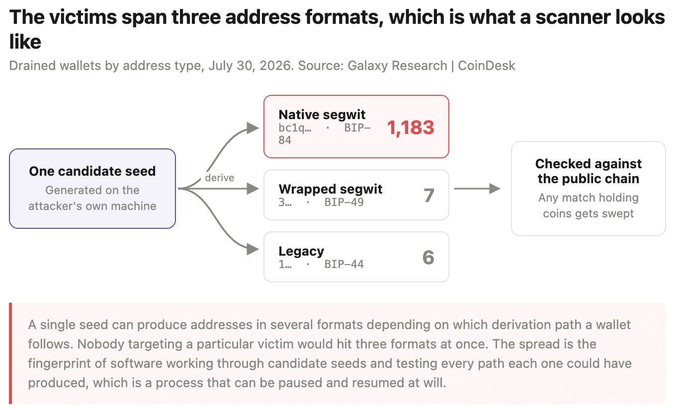 The victims span three address formats, which is what a scanner looks like. (Shaurya Malwa/CoinDesk)