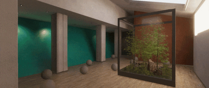 Gif of plant in glass box in different lighting