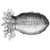 FreezeOrange
