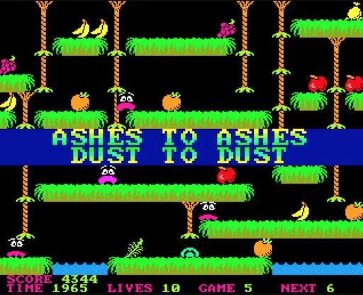 jungle.webp