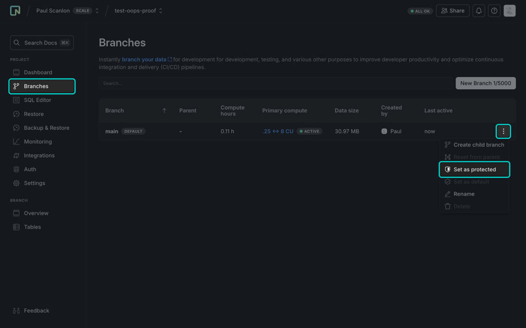 Screenshot of Neon console showing Protected Branches settings