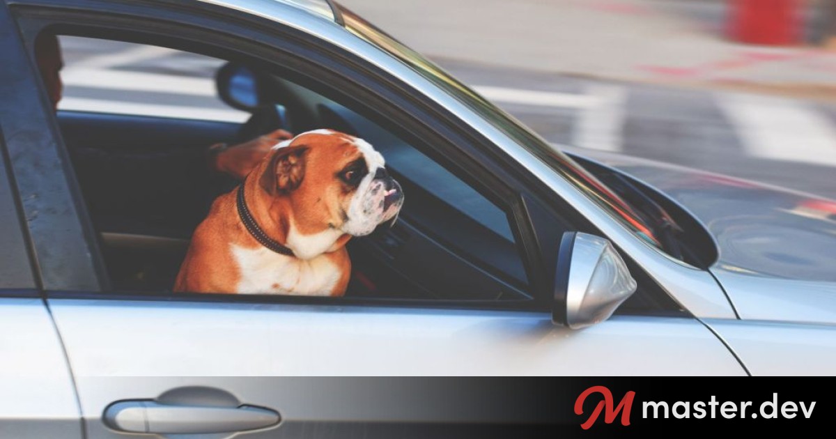 Uber for Dogs: How to Stop & Think for Design