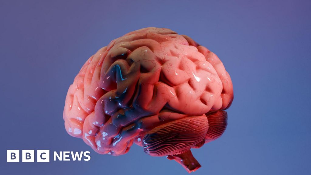 Indian scientists produce most detailed 3D atlas of the human brainstem