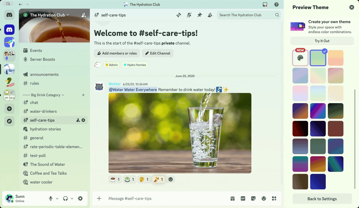 A screenshot of the Theme Preview option, allowing users to see what a particular theme looks like.