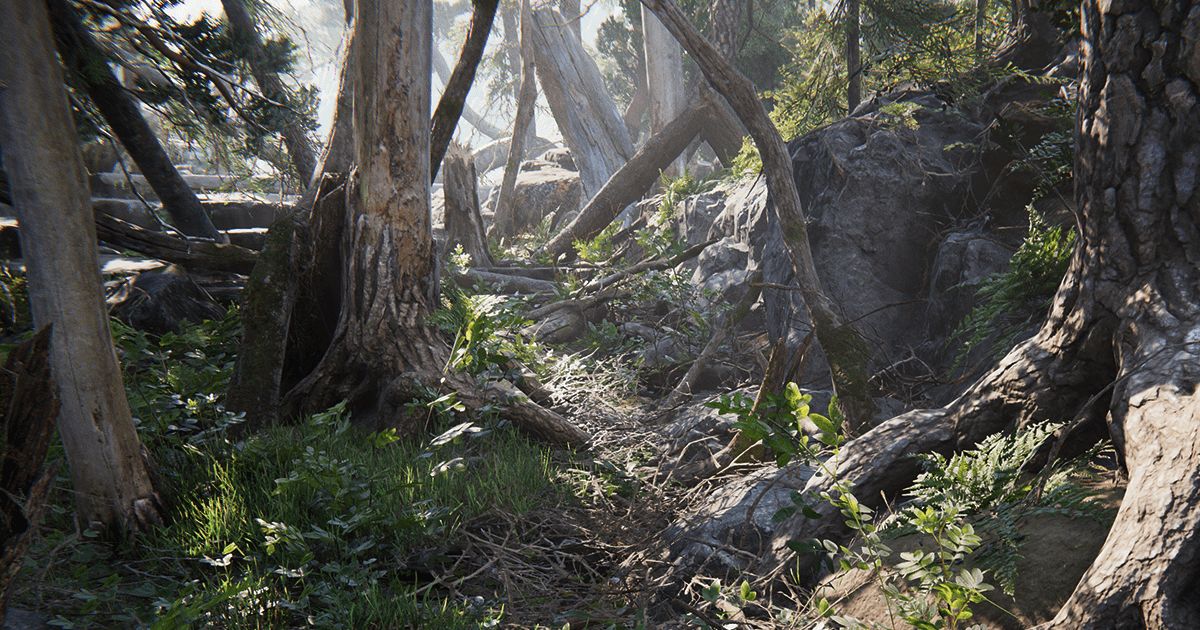 Forest