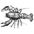 SMSRoute Dev