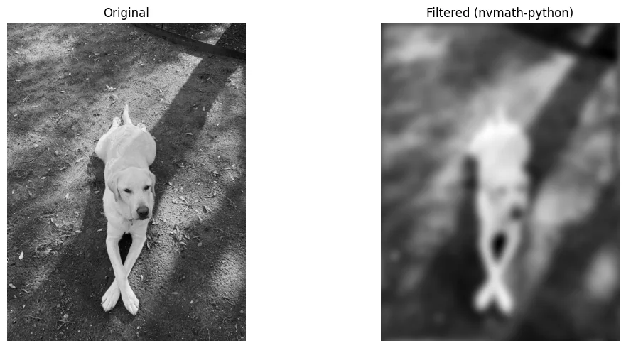 Alt text: A sharp, grayscale, overhead photo of a light-colored dog sitting on pavement with its front paws elegantly crossed, casting a dark shadow. Then, the same photo of the dog now heavily blurred to demonstrate the effect of a Gaussian image filter.