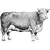 Nik
