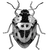 Vaibhav