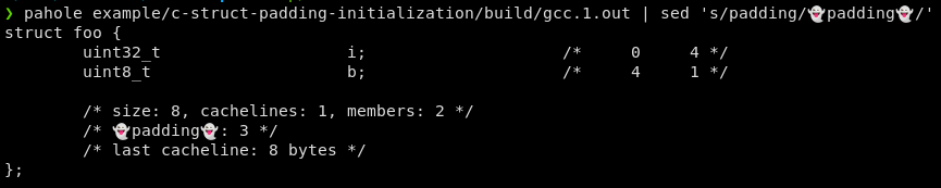 C Structure Padding Initialization