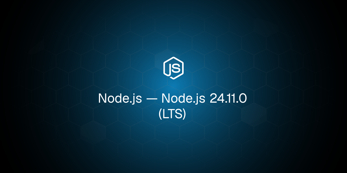Node.js 24.11.0 (LTS)