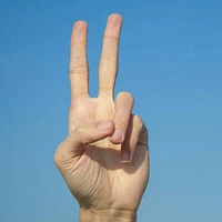ben burtenshaw's avatar