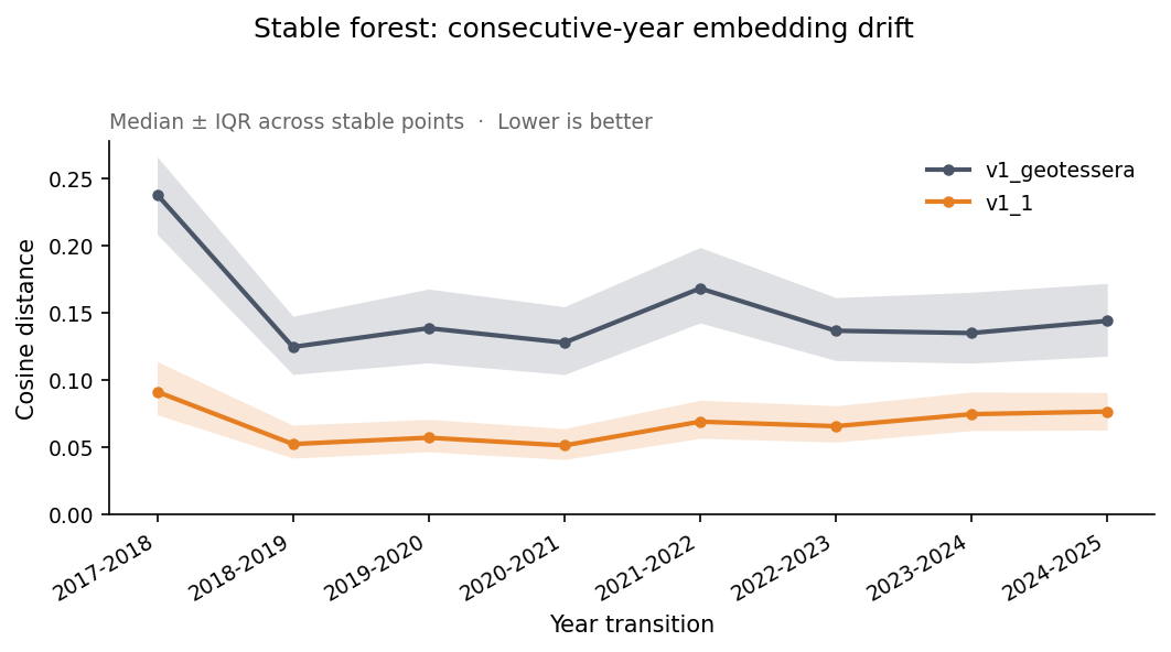 Differences in the same region across years with Tessera v1.0 and v1.1 (credit: Jovana Knezevic)