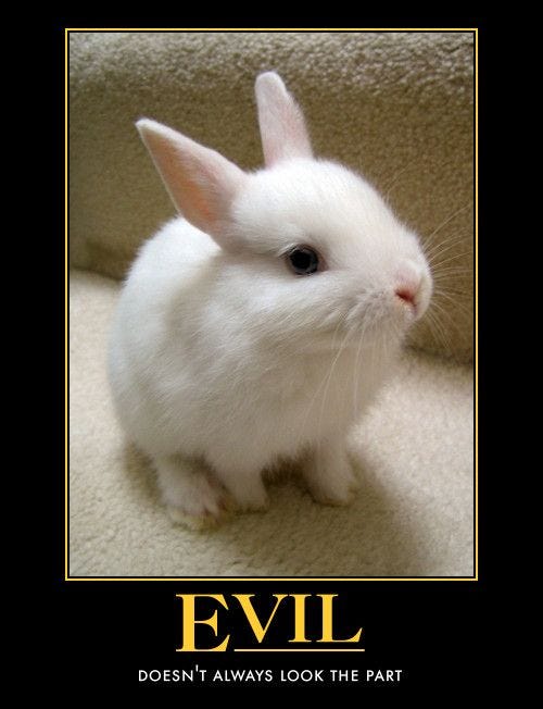 Bunnies Addendum (For the Buffy Fans) - En Tequila Es Verdad
