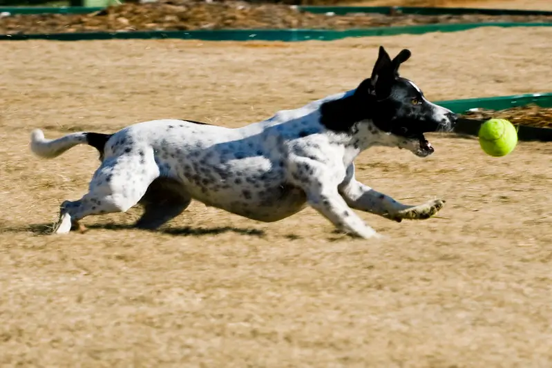 Understanding the Fetch Metadata HTTP headers: Sec-Fetch-Site and friends