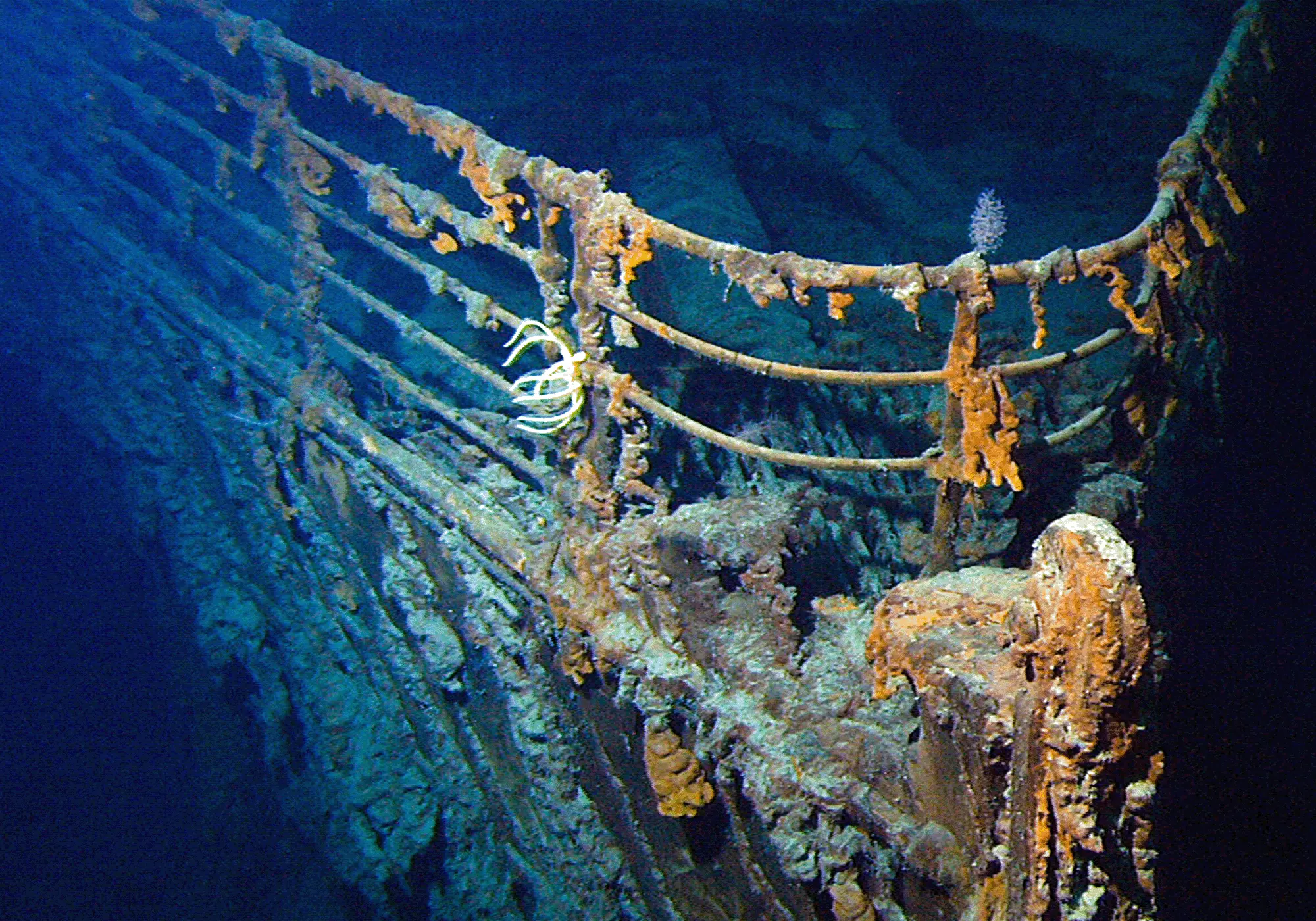 The bow of the RMS Titanic wreck on the ocean floor, its railings encrusted with rust-colored rusticles.