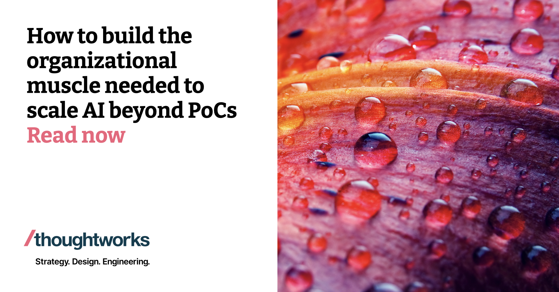 How to build the organizational muscle needed to scale AI beyond PoCs