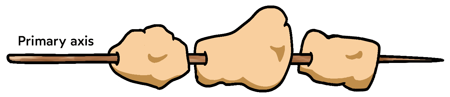 Illustration of a kebab: 3 pieces of meat horizontally skewered on a wooden stick. The stick is labeled 'Primary axis'