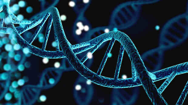 Nvidia’s new DNA model learns what token prediction misses