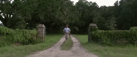 forrest.gif