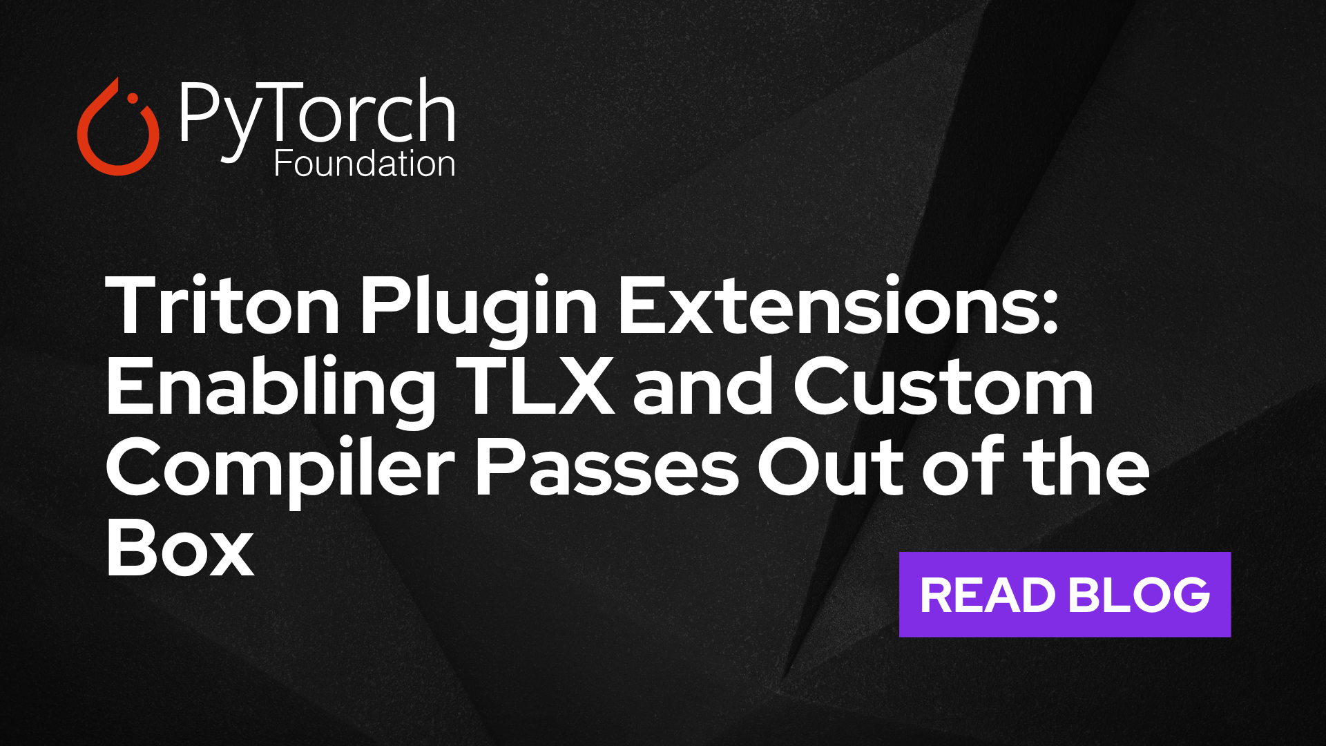 Triton Plugin Extensions