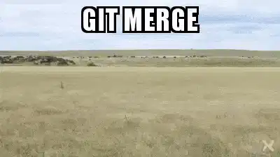 A person typing excitedly on a laptop and nodding in approval