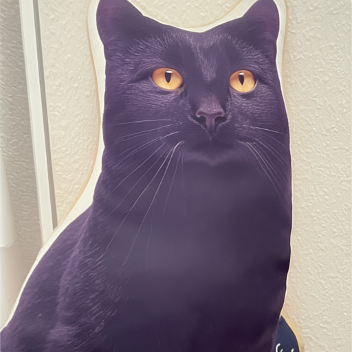 cat-plushy-lora.png