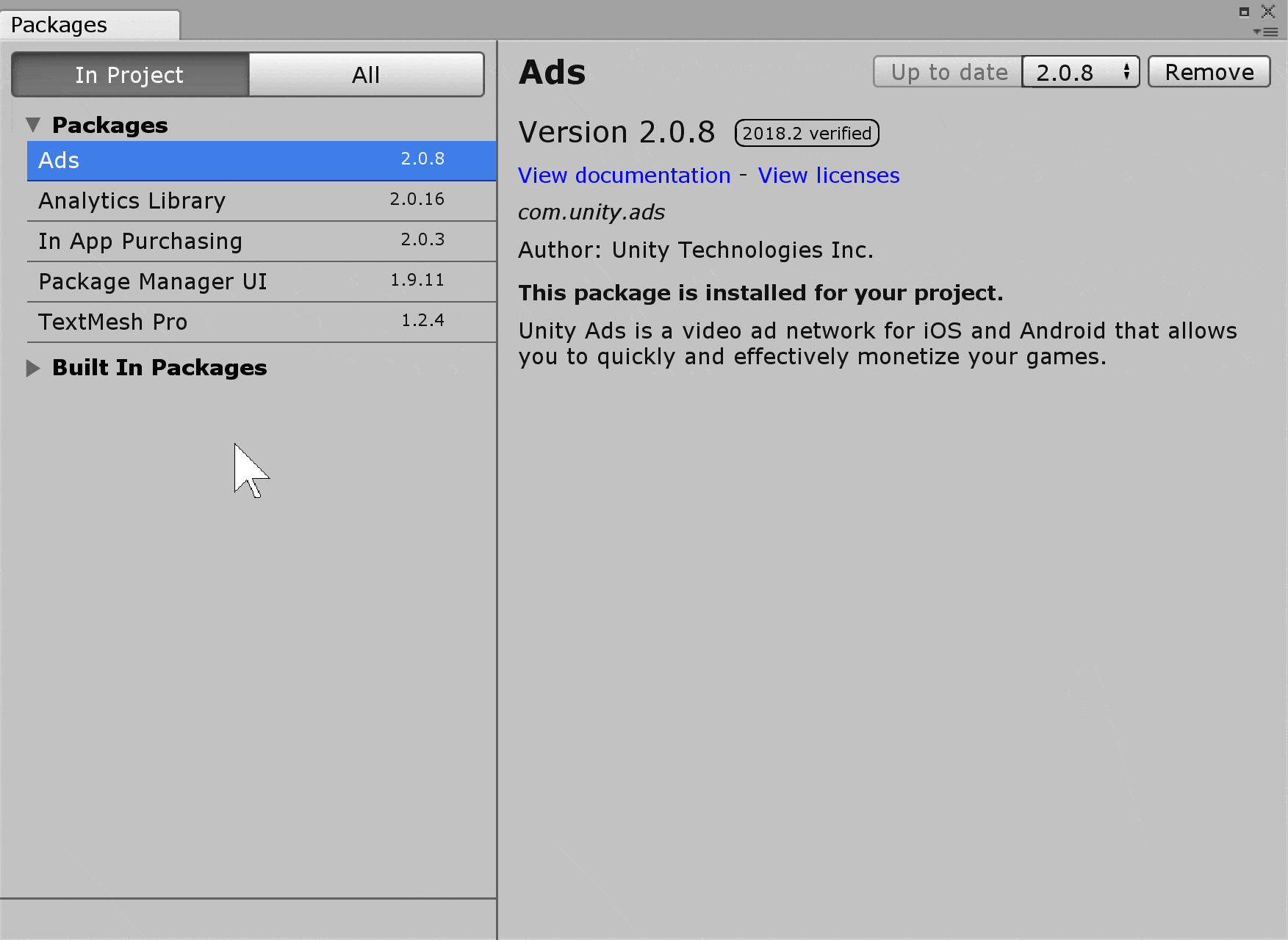 package manager