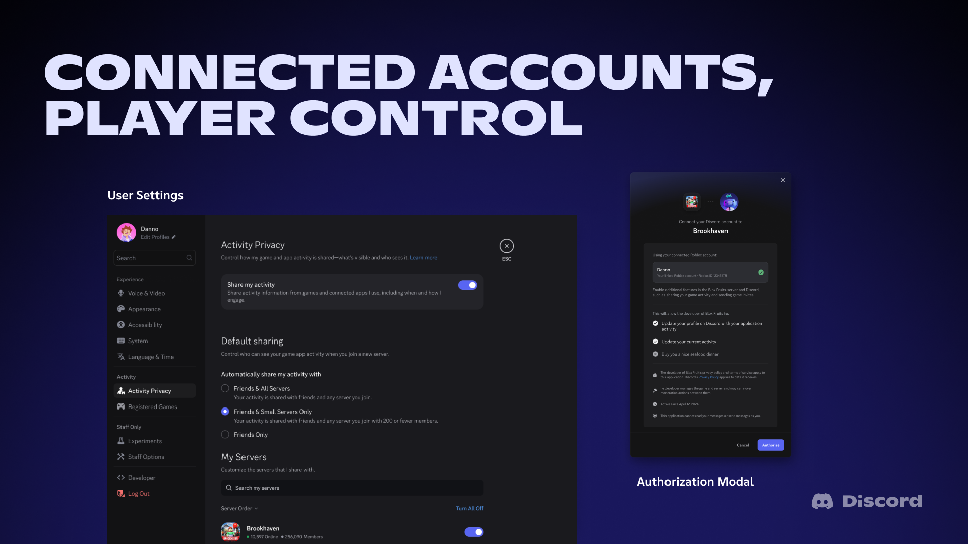 An example of Activity Privacy settings on the Discord desktop app.
