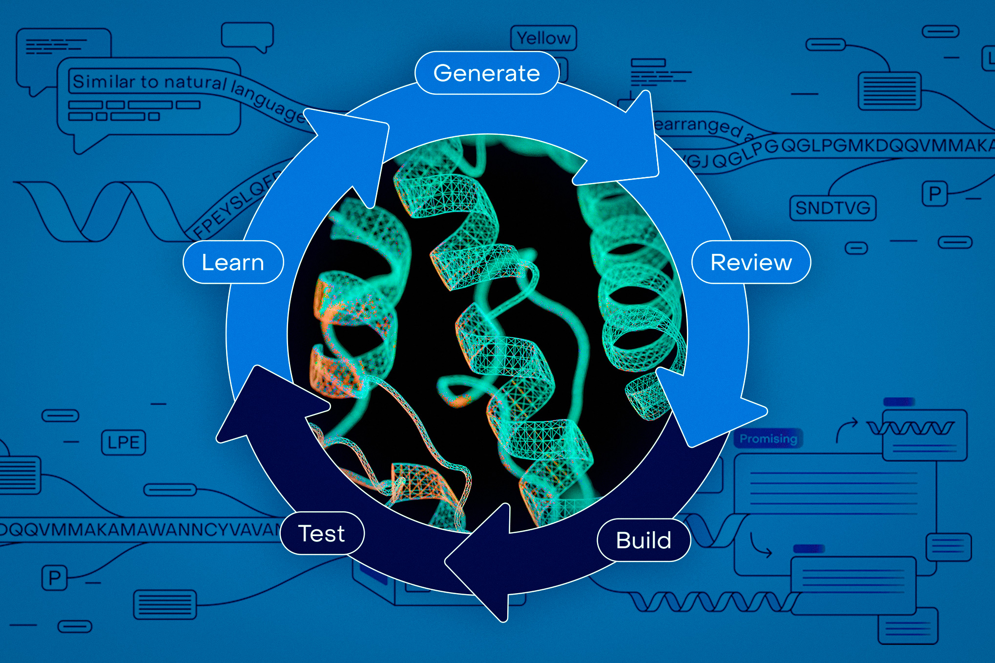 Bringing AI-driven protein-design tools to biologists everywhere