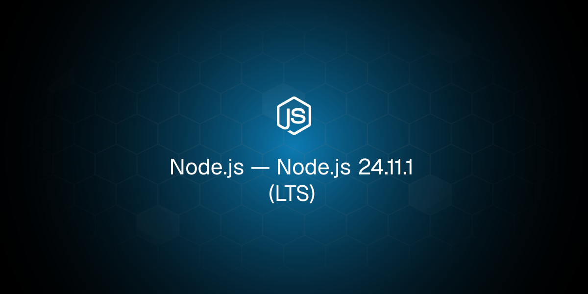 Node.js 24.11.1 (LTS)