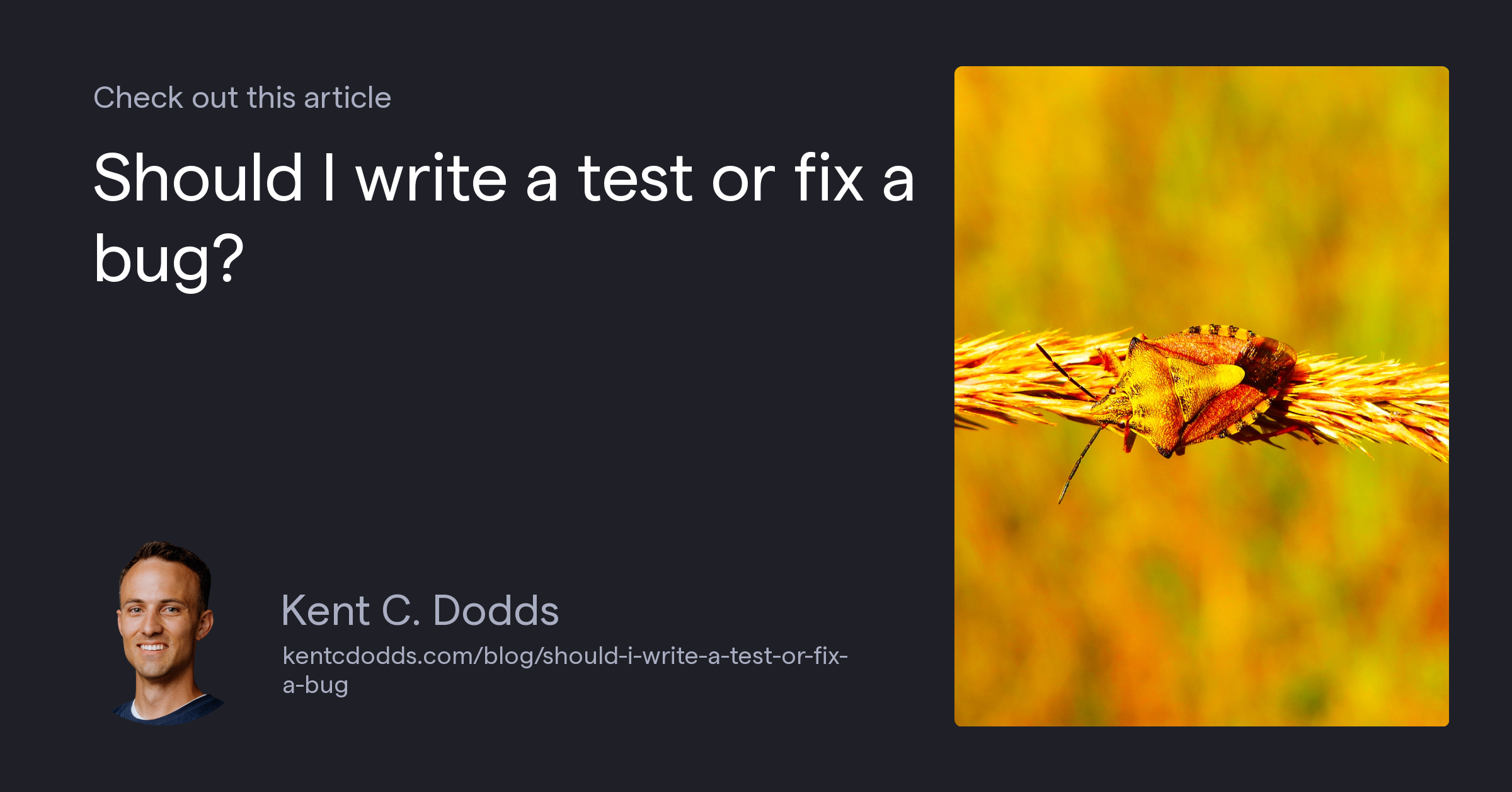 Should I write a test or fix a bug?