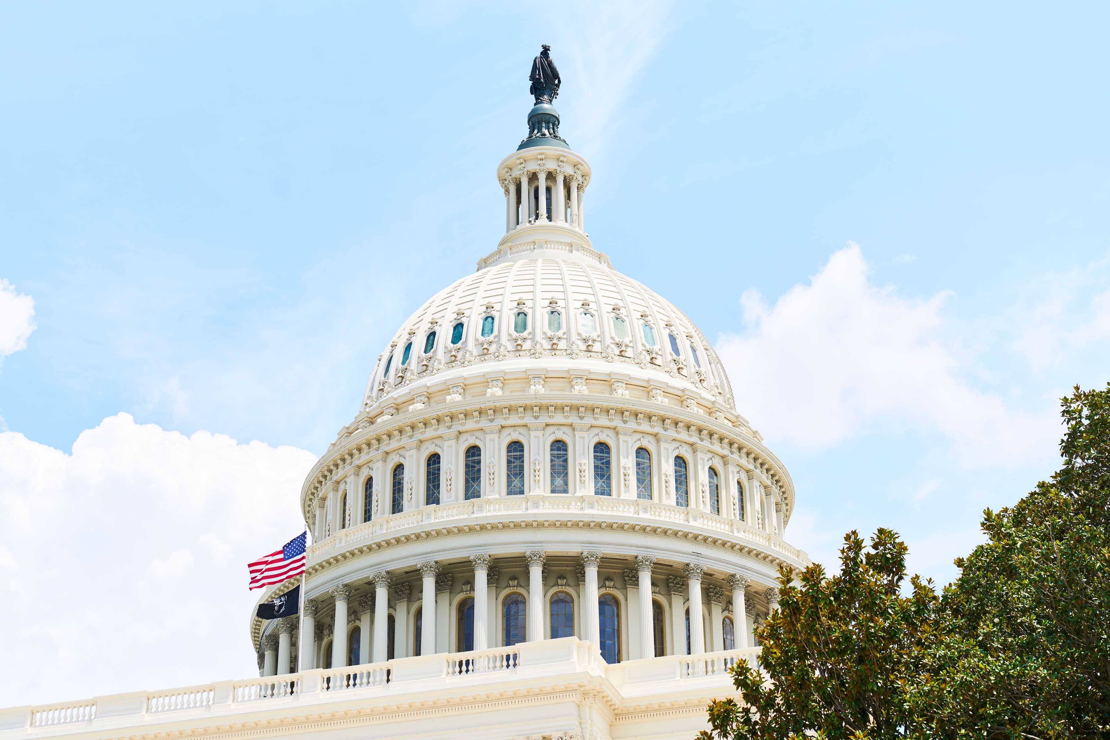 U.S. Capitol Building (Getty Images/aire images)