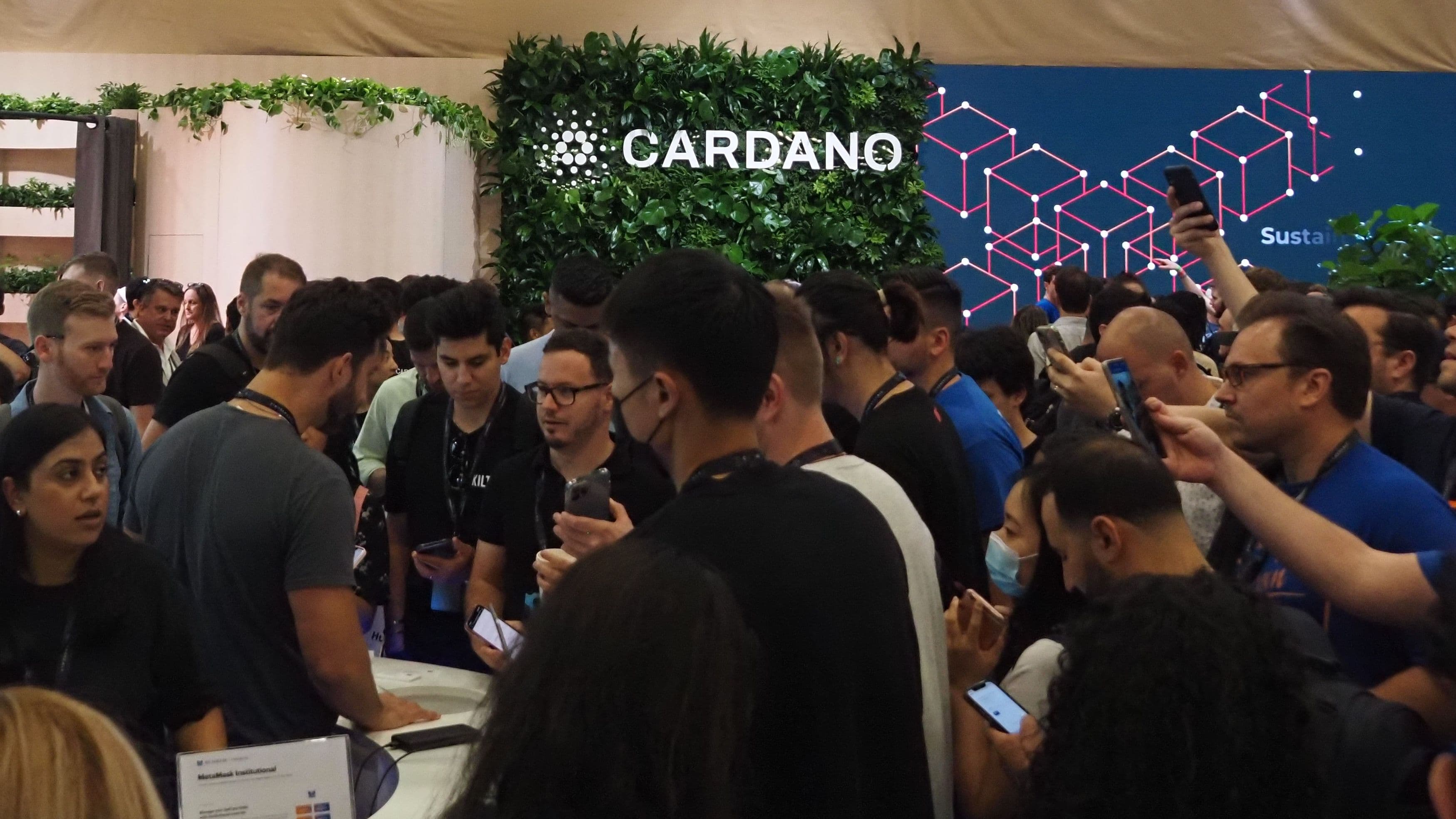 Cardano hard fork marks first upgrade approved without Input Output in charge (Danny Nelson/CoinDesk)