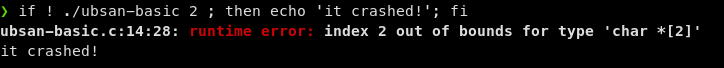 img/ubsan-trap/ubsan-basic-no-recover.png