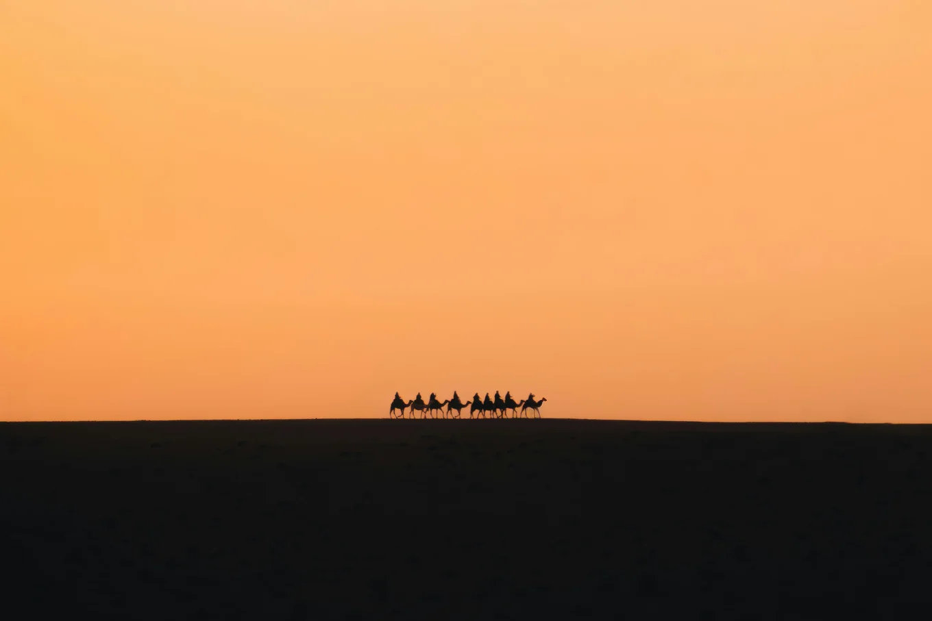 OCaml 5.5 Summary: What's New in the Latest OCaml Update