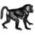 Ran Engel